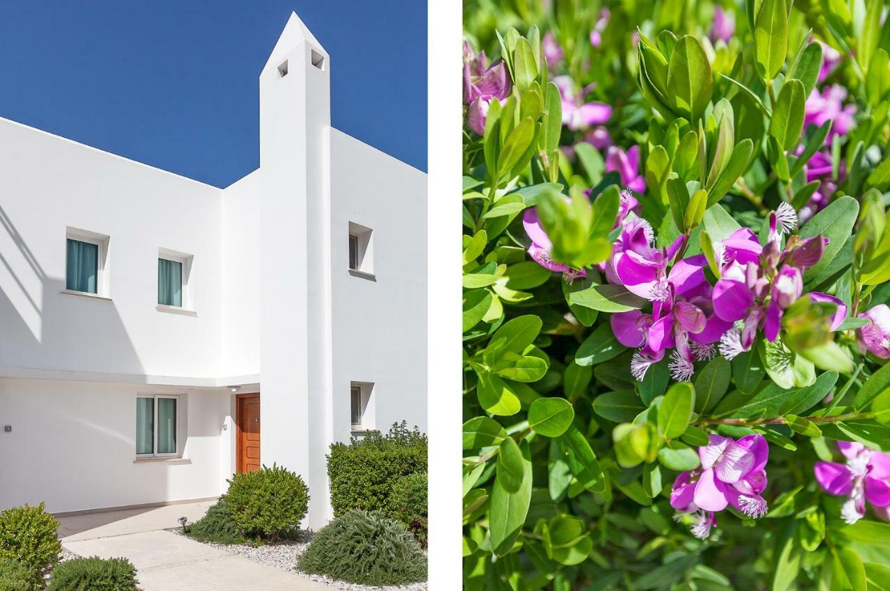 Seaview Selvi Village Apt Vasilia Екстер'єр фото